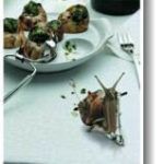 How Snails and a Corral started my mission to change the world...